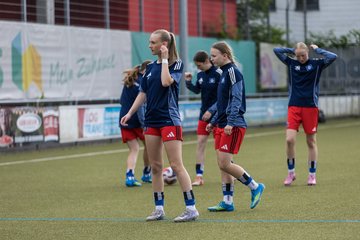 Bild 47 - wBJ Hamburger SV - FC Suederelbe : Ergebnis: 9:0